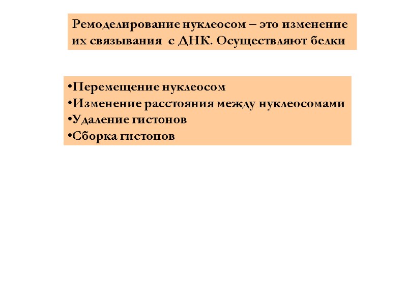Ремоделирование нуклеосом – это изменение  их связывания  с ДНК. Осуществляют белки Перемещение